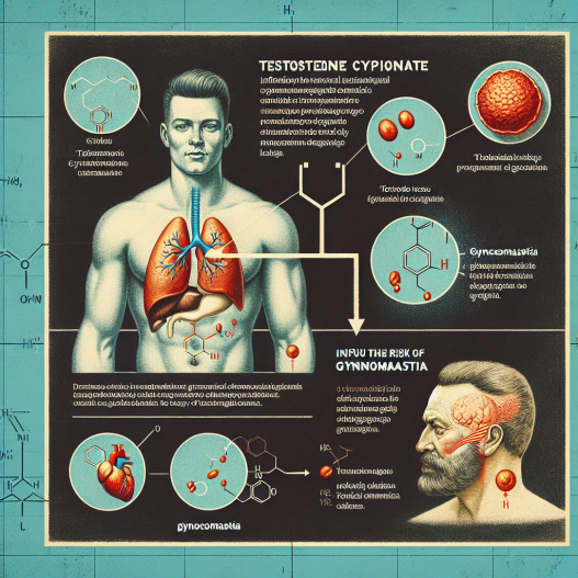 L'effet du cypionate de testostérone sur le risque de gynécomastie