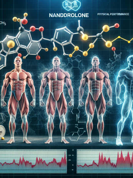 Nandrolone dans les programmes de powerlifting : Effets à long terme
