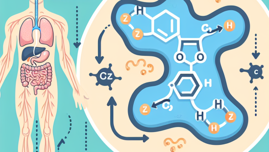 Rôle du zinc dans la régulation du cortisol